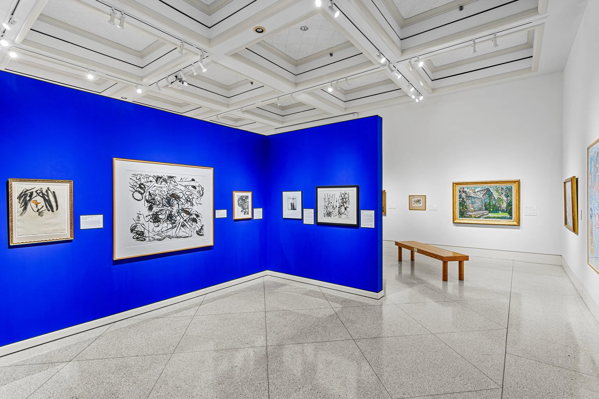 An Adventure In The Arts — Naples Art Institute